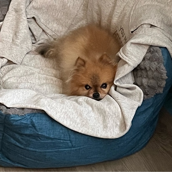 Meet your Posher, Chink - Picture 6 of 9